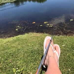 Meet your Posher, Tanya